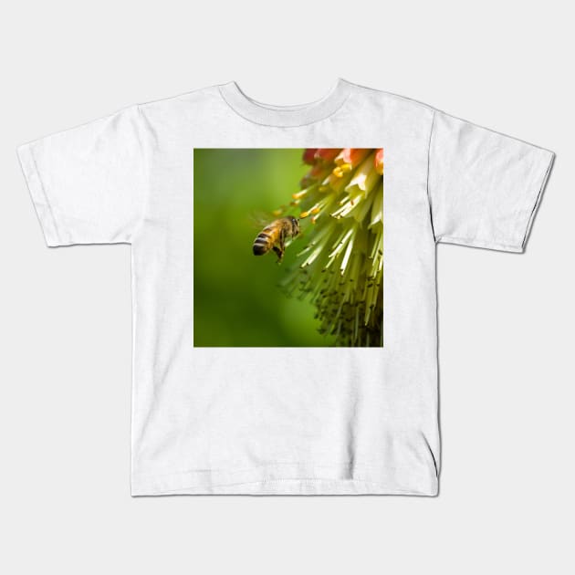 Bee in Flight Kids T-Shirt by Nigdaw